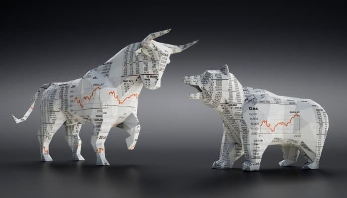 Bull and bear