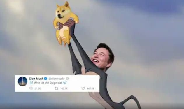 Dogecoin · Investacle.com Dogecoin · Investacle.com